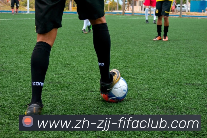 App Interface Preview