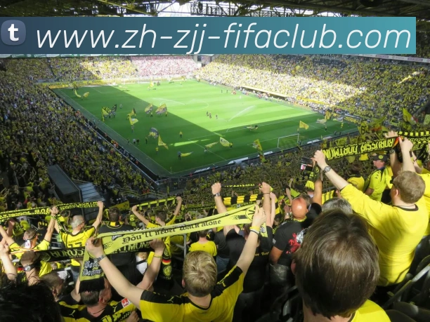 世界杯直播APP 封面图