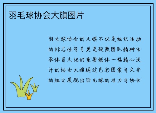 羽毛球协会大旗图片